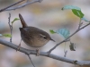 Filename=00122_fotowilga~47.JPG
Filesize=263KB
Dimensions=700x525
Date added=Nov 25, 2018 00122_fotowilga~47.JPG