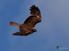 Filename=00122_fotowilga~59.JPG
Filesize=209KB
Dimensions=700x525
Date added=May 29, 2019 00122_fotowilga~59.JPG