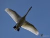 Filename=00123_fotowilga~57.JPG
Filesize=217KB
Dimensions=700x525
Date added=Sep 26, 2019 00123_fotowilga~57.JPG