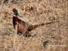 Filename=00124_fotowilga~31.JPG
Filesize=150KB
Dimensions=640x480
Date added=Mar 26, 2017 00124_fotowilga~31.JPG