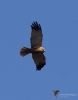 Filename=00127_fotowilga~0.JPG
Filesize=218KB
Dimensions=551x700
Date added=Apr 15, 2021 00127_fotowilga~0.JPG