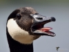 Filename=00128_fotowilga~53.JPG
Filesize=221KB
Dimensions=700x525
Date added=Jun 15, 2018 00128_fotowilga~53.JPG