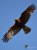 Filename=00128_fotowilga~63.JPG
Filesize=202KB
Dimensions=525x700
Date added=May 29, 2019 00128_fotowilga~63.JPG
