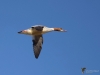 Filename=0012_fotowilga~0.JPG
Filesize=187KB
Dimensions=700x525
Date added=Dec 02, 2019 0012_fotowilga~0.JPG