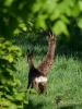 Filename=00131_fotowilga.JPG
Filesize=302KB
Dimensions=525x700
Date added=Jun 13, 2019 00131_fotowilga.JPG