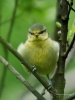 Filename=00135_fotowilga~59.JPG
Filesize=293KB
Dimensions=525x700
Date added=Mar 17, 2019 00135_fotowilga~59.JPG