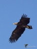 Filename=00140_fotowilga.JPG
Filesize=225KB
Dimensions=525x700
Date added=Feb 28, 2019 00140_fotowilga.JPG