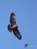 Filename=00141_fotowilga.JPG
Filesize=208KB
Dimensions=525x700
Date added=Jul 10, 2019 00141_fotowilga.JPG