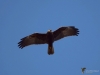 Filename=00143_fotowilga~48.JPG
Filesize=188KB
Dimensions=700x525
Date added=Apr 09, 2018 00143_fotowilga~48.JPG