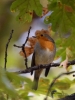 Filename=00143_fotowilga~49.JPG
Filesize=262KB
Dimensions=525x700
Date added=Nov 08, 2018 00143_fotowilga~49.JPG