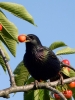 Filename=00143_fotowilga~61.JPG
Filesize=270KB
Dimensions=525x700
Date added=Jun 16, 2019 00143_fotowilga~61.JPG