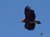 Filename=00144_fotowilga~66.JPG
Filesize=218KB
Dimensions=700x525
Date added=Oct 14, 2019 00144_fotowilga~66.JPG