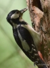 Filename=00146_fotowilga~0.JPG
Filesize=273KB
Dimensions=519x700
Date added=Jun 22, 2021 00146_fotowilga~0.JPG