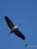 Filename=00147_fotowilga~65.JPG
Filesize=190KB
Dimensions=525x700
Date added=Feb 02, 2019 00147_fotowilga~65.JPG