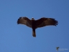Filename=00148_fotowilga~47.JPG
Filesize=182KB
Dimensions=700x525
Date added=Apr 09, 2018 00148_fotowilga~47.JPG