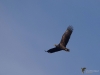 Filename=0014_fotowilga~0.JPG
Filesize=205KB
Dimensions=700x525
Date added=May 27, 2019 0014_fotowilga~0.JPG