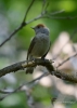 Filename=00151_fotowilga~45.JPG
Filesize=214KB
Dimensions=499x700
Date added=Feb 09, 2019 00151_fotowilga~45.JPG
