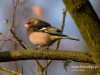 Filename=00152_fotowilga~34.JPG
Filesize=92KB
Dimensions=640x480
Date added=Feb 11, 2017 00152_fotowilga~34.JPG