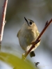 Filename=00153_fotowilga~59.JPG
Filesize=261KB
Dimensions=525x700
Date added=Oct 18, 2019 00153_fotowilga~59.JPG