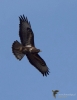 Filename=00156_fotowilga~0.JPG
Filesize=198KB
Dimensions=545x700
Date added=May 02, 2021 00156_fotowilga~0.JPG