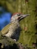Filename=00156_fotowilga~52.JPG
Filesize=282KB
Dimensions=525x700
Date added=Jul 02, 2019 00156_fotowilga~52.JPG