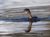 Filename=00158_fotowilga~2.JPG
Filesize=280KB
Dimensions=700x525
Date added=Feb 16, 2019 00158_fotowilga~2.JPG