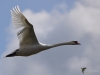 Filename=00160_fotowilga~56.JPG
Filesize=193KB
Dimensions=700x525
Date added=Oct 06, 2019 00160_fotowilga~56.JPG