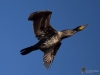 Filename=00163_fotowilga~45.JPG
Filesize=190KB
Dimensions=700x525
Date added=Feb 05, 2018 00163_fotowilga~45.JPG