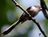Filename=00164_fotowilga~0.JPG
Filesize=263KB
Dimensions=700x536
Date added=Jan 24, 2022 00164_fotowilga~0.JPG