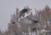 Filename=00167_fotowilga~20.JPG
Filesize=80KB
Dimensions=640x452
Date added=Nov 05, 2015 00167_fotowilga~20.JPG