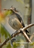 Filename=00167_fotowilga~21.JPG
Filesize=72KB
Dimensions=343x480
Date added=Nov 13, 2015 00167_fotowilga~21.JPG