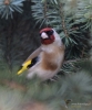 Filename=00170_fotowilga~0.JPG
Filesize=319KB
Dimensions=583x700
Date added=Aug 23, 2021 00170_fotowilga~0.JPG