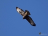 Filename=00170_fotowilga~39.JPG
Filesize=207KB
Dimensions=700x525
Date added=Mar 10, 2019 00170_fotowilga~39.JPG