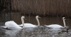 Filename=00175_fotowilga.JPG
Filesize=225KB
Dimensions=700x370
Date added=Mar 29, 2021 00175_fotowilga.JPG