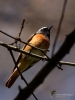 Filename=00175_fotowilga~47.JPG
Filesize=229KB
Dimensions=525x700
Date added=Apr 26, 2018 00175_fotowilga~47.JPG