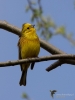Filename=00176_fotowilga.JPG
Filesize=218KB
Dimensions=525x700
Date added=Jun 28, 2019 00176_fotowilga.JPG