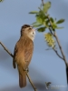 Filename=00179_fotowilga~48.JPG
Filesize=214KB
Dimensions=525x700
Date added=May 20, 2018 00179_fotowilga~48.JPG