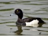 Filename=00180_fotowilga~43.JPG
Filesize=223KB
Dimensions=700x525
Date added=Sep 26, 2018 00180_fotowilga~43.JPG