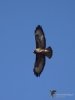 Filename=00181_fotowilga.JPG
Filesize=221KB
Dimensions=525x700
Date added=Jun 26, 2019 00181_fotowilga.JPG