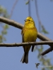 Filename=00181_fotowilga~49.JPG
Filesize=216KB
Dimensions=525x700
Date added=Apr 17, 2018 00181_fotowilga~49.JPG