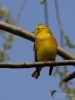 Filename=00182_fotowilga~43.JPG
Filesize=220KB
Dimensions=525x700
Date added=Apr 17, 2018 00182_fotowilga~43.JPG