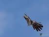 Filename=00187_fotowilga~29.JPG
Filesize=208KB
Dimensions=700x525
Date added=May 18, 2018 00187_fotowilga~29.JPG