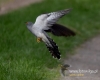 Filename=00189_fotowilga~23.JPG
Filesize=65KB
Dimensions=600x480
Date added=May 23, 2016 00189_fotowilga~23.JPG