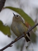 Filename=00189_fotowilga~60.JPG
Filesize=231KB
Dimensions=525x700
Date added=Oct 06, 2019 00189_fotowilga~60.JPG