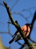 Filename=00190_fotowilga~45.JPG
Filesize=222KB
Dimensions=525x700
Date added=Jun 25, 2018 00190_fotowilga~45.JPG