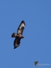 Filename=00192_fotowilga~54.JPG
Filesize=204KB
Dimensions=525x700
Date added=Jun 24, 2019 00192_fotowilga~54.JPG