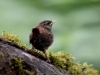 Filename=00198_fotowilga~51.JPG
Filesize=257KB
Dimensions=700x525
Date added=Jun 09, 2018 00198_fotowilga~51.JPG