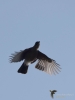 Filename=001_fotowilga~18.JPG
Filesize=160KB
Dimensions=525x700
Date added=Mar 30, 2019 001_fotowilga~18.JPG