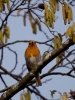 Filename=001_fotowilga~43.JPG
Filesize=271KB
Dimensions=525x700
Date added=May 06, 2019 001_fotowilga~43.JPG