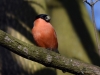 Filename=001_fotowilga~44.JPG
Filesize=245KB
Dimensions=700x525
Date added=Jan 23, 2018 001_fotowilga~44.JPG